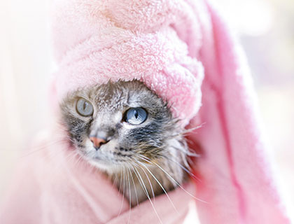 Routine Hydrating Bath
